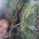 ���������� �������, ���� ������� Dmitry, 41 ���, ������������ ��� ������, ����� � ���������, c�������� ���������