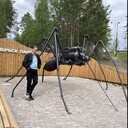 ���������� ������, ���� ������� �����, 52 ����, ������������ ��� ������, ����� � ���������