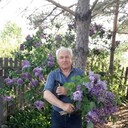  ,   , 70 ,   c 