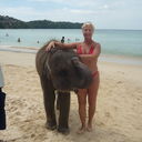 ���������� ������-���, ���� ������� ���������, 60 ���, ������������ ��� ������, ����� � ���������, c�������� ���������