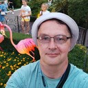  ,   , 51 ,   c 