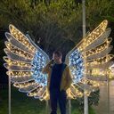 ���������� �����������, ���� ������� �����, 30 ���, ������������ ��� ������, ����� � ���������, c�������� ���������, ���������