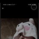 ���������� ������, ���� ����� �����, 23 ����, ������������ ��� ������, ����� � ���������