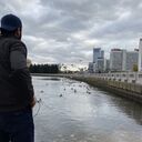 ���������� �����, ���� ������� �����, 29 ���, ������������ ��� ������, ����� � ���������, c�������� ���������, ���������