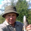  ,   , 71 ,     , c 