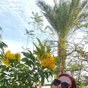 ���������� ������, ���� ������� Lina, 44 ����, ������������ ��� ����� � ���������, c�������� ���������