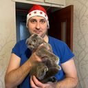 ���������� �����, ���� ������� �������, 37 ���, ������������ ��� ������, ����� � ���������