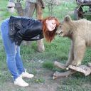 ���������� ���������, ���� ������� LUCKY, 53 ����, ������������ 