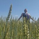  ,   Nikita, 26 ,   ,   