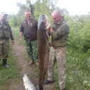 ���������� ��������������, ���� ������� �������, 46 ���, ������������ ��� ������, ����� � ���������, c�������� ���������