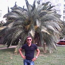  -,   , 40 ,   