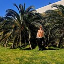 ���������� �����, ���� ������� M����, 50 ���, ������������ ��� ����� � ���������, c�������� ���������