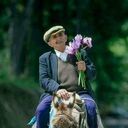 ���������� ������, ���� ������� ������, 41 ���, ������������ ��� ������, ����� � ���������, c�������� ���������, ���������