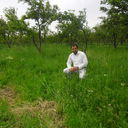 ���������� �������, ���� ������� ������, 40 ���, ������������ ��� ������