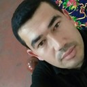 ���������� �������, ���� ������� Sardor, 37 ���, ������������ ��� ������, ����� � ���������, c�������� ���������