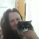  ,   , 53 ,   , c , 