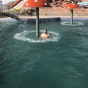 ���������� ���������, ���� ������� Joni, 34 ����, ������������ ��� ������, ����� � ���������