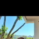 ���������� ������-��-����, ���� ������� ����, 43 ����, ������������ ��� c�������� ���������