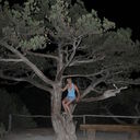 ���������� ������, ���� ������� ���������, 52 ����, ������������ 