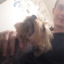  ,   , 28 ,   