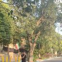 ���������� ������, ���� ����� Amir Hosein, 21 ���, ������������ ��� ������, ����� � ���������