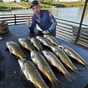 ���������� ������, ���� ������� ������, 43 ����, ������������ ��� ������, ����� � ���������