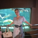 ���������� ����������, ���� ������� �������, 40 ���, ������������ ��� ������, ����� � ���������, c�������� ���������