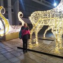 ���������� �����������, ���� ������� ����, 55 ���, ������������ ��� c�������� ���������