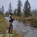 ���������� ������, ���� ������� ���������, 50 ���, ������������ ��� ������, ����� � ���������, c�������� ���������