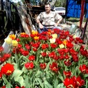  ,   , 63 ,   ,   , c 