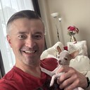 ���������� ���������, ���� ������� Vad, 44 ����, ������������ ��� ������, ����� � ���������, c�������� ���������, ���������