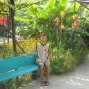  ,   , 36 ,   , 