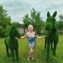 ���������� �����������, ���� ������� �����, 55 ���, ������������ ��� ������, ����� � ���������