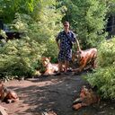  ,   Coolman, 31 ,   ,   
