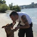 ���������� ������-��-����, ���� ������� �����, 44 ����, ������������ ��� ������