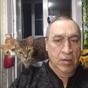 ���������� �������� ���, ���� ������� ���������, 66 ���, ������������ ��� c�������� ���������, ���������