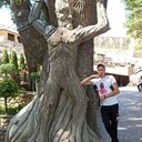  ,   , 38 ,   ,   