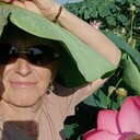  ,   , 57 ,   c 