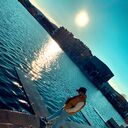 ���������� ���������, ���� ������� ����, 26 ���, ������������ ��� ������, ����� � ���������, c�������� ���������