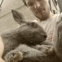  ,   Vladislavs, 31 ,   ,   , c 