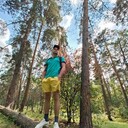 ���������� ����, ���� ������� �������, 38 ���, ������������ ��� ������, ����� � ���������, c�������� ���������