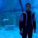  ,   Paxanov, 31 ,   ,   