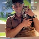 ���������� ����, ���� ������� ����������, 38 ���, ������������ ��� ����� � ���������, c�������� ���������, ���������