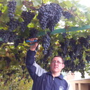  ,   , 53 ,   ,   , c 