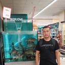   ,   , 39 ,   ,   