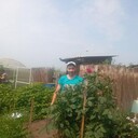 ���������� �������, ���� ������� �������, 38 ���, ������������ ��� c�������� ���������