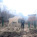 ���������� ������, ���� ����� Viktor, 22 ����, ������������ ��� ������, ����� � ���������