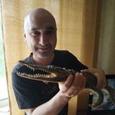 ���������� ������, ���� ������� ������ ����, 44 ����, ������������ ��� ������