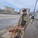 ���������� �����, ���� ������� Imya, 49 ���, ������������ ��� ������, ����� � ���������, c�������� ���������, ���������