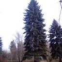 ���������� ������������, ���� ������� ����, 53 ����, ������������ ��� ������, ����� � ���������, c�������� ���������